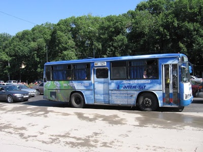 Transportul public Cum să supraviețuiești 