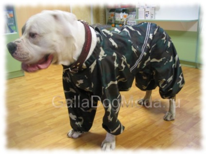 Kutya ruhák - katonai stílus