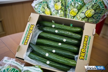 Agricultorii de castraveți Orenburg au spus cum să aleagă legume de calitate