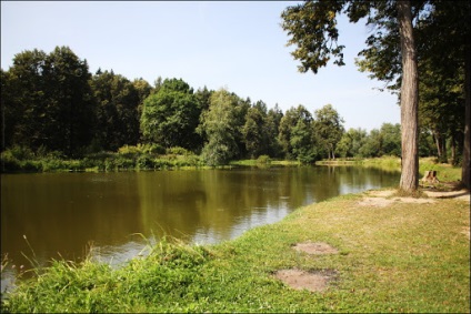 Eructarea conștiinței mtsyri