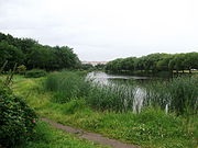 Aviator's Park (Szentpétervár)