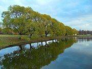 Parcul Aviator (Sankt-Petersburg)