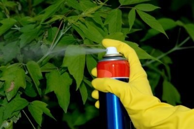 Pesticide - clasificare pe grupe de destinație