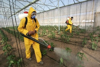 Pesticide - clasificare pe grupe de destinație