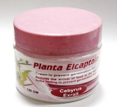 A Planta elkapja a krémszínű haj növekedését, lassítja a véleményeket és ajánlásokat