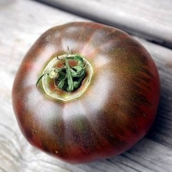 De ce tomatele se sparg in sera atunci cand se coace de ce se sparg rosiile in sera