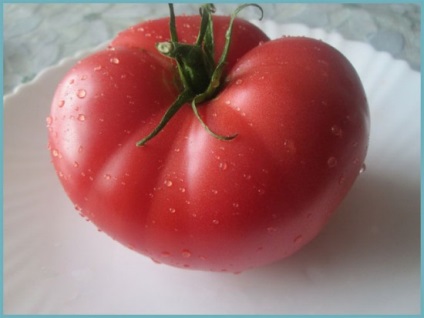 De ce tomatele se sparg in sera atunci cand se coace de ce se sparg rosiile in sera
