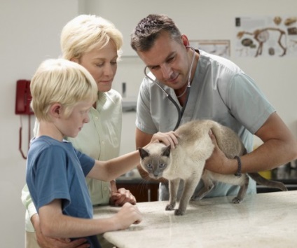 Beneficii și rău pentru animalele de companie pentru copii