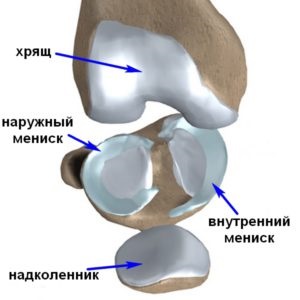 Cartilage károsodás, tünetek és kezelés