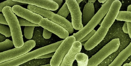 Prevenirea infecțiilor intestinale acute, 