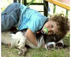 Manifestarea agresiunii unui câine unui copil