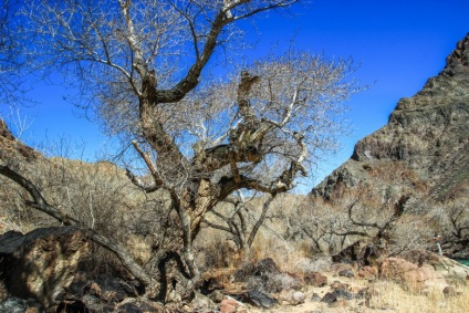 Râul Charyn Canyon Bestamak - o alternativă la Valea Castelelor