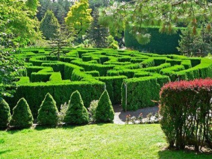 A kert labirintusa a helyszínen esztétikailag kellemes és lenyűgöző