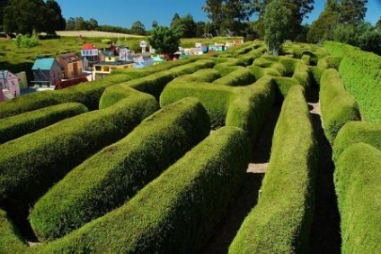 Labirintul grădinii de pe areal este plăcut și fascinant din punct de vedere estetic