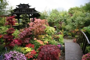 Japán stílusú kert