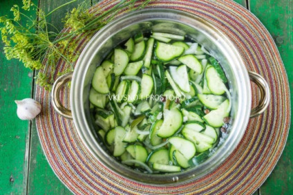 Salata de iarna rege (furling pentru iarna)