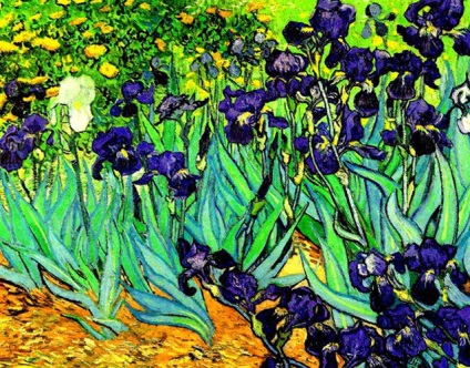 Cele mai faimoase picturi ale lui Van Gogh, vivareit