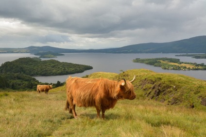 Cele mai frumoase locuri din Scoția, care merită vizitate, totul despre turism și recreere