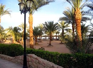 Sharm el Sheikh (Egipt) Sharm el Sheikh Hoteluri 3, 4, 5 Stele, Tururi în Sharm El Sheikh, Vacanță în Sharm El Sheikh