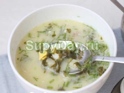 Supa de Sorrel - gustați și beneficiați de o rețetă pe tot parcursul anului cu fotografie și video