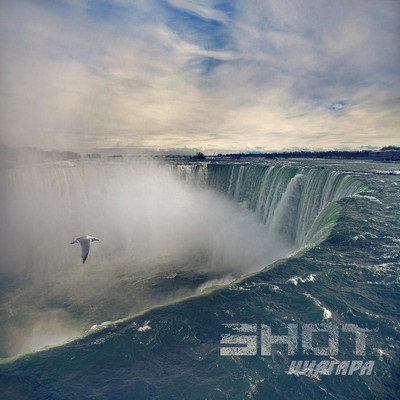 Shot - Niagara versuri (versuri)