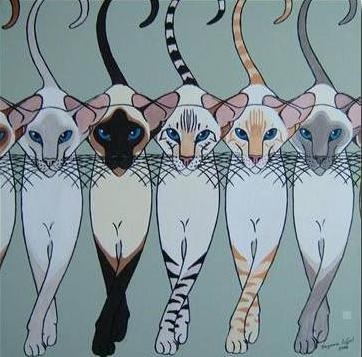 Pisica Siamese sau siamese - șobolan Don Sphynx