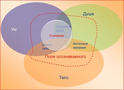 Forța și inteligența omului (gadaev alexey veniaminovich)