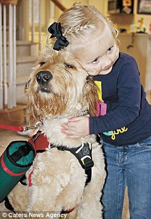 Un câine este un colac de salvare pentru un alid de 3 ani (foto) (pagina 1) - comunicare