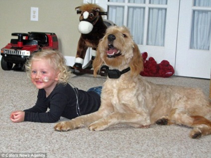 Câinele - un inel de viață pentru un alidi de 3 ani - știri în fotografii