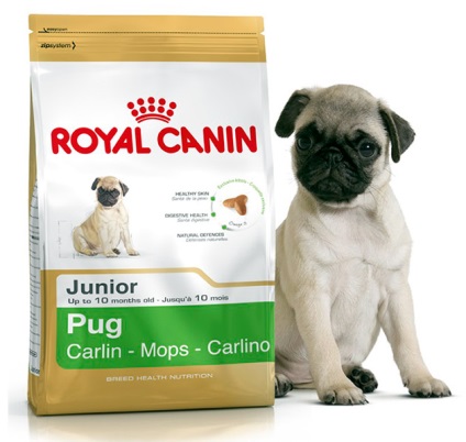 Alimente uscate pentru pugs - sfaturi și recomandări