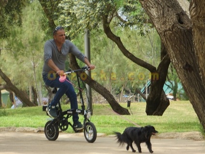 Tel Aviv - a kutyák városa valódi, negatív, ár, válás, vételi ajánlat