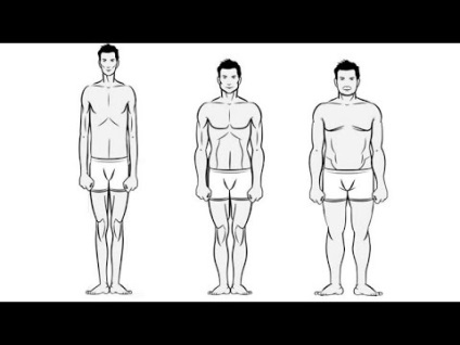 Tipuri de corp uman (ectomorf, mezomorf, endomorf) așa cum sunt definite la bărbați și femei