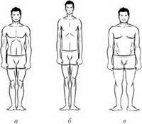 Tipuri de corp, ectomorfă, mezomorfă, endomorfă
