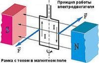 Мента поле във вакуум