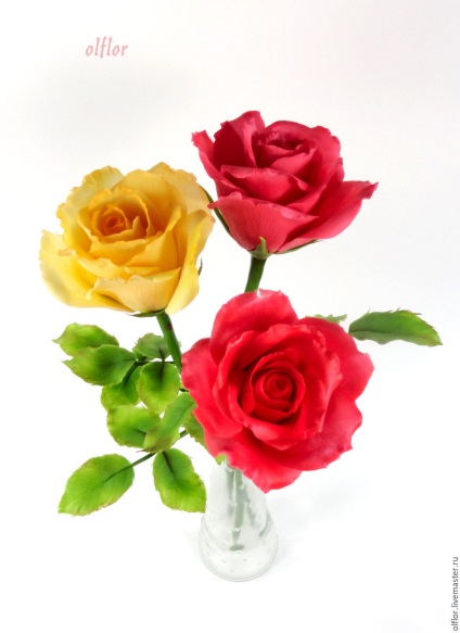 Trei poze cu trandafiri