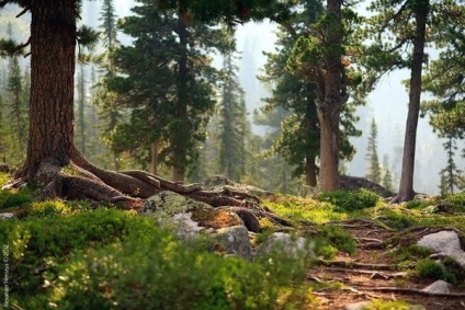 Locuri turistice din Teritoriul Krasnoyarsk - un parc natural - ergaki