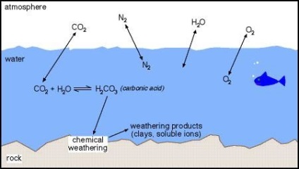 Reciclarea co2 - rețete retrase din natură - digestarea mediului