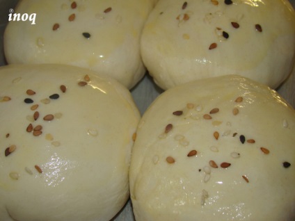 Uzbek samsa de parmudă, feluri de mâncare, mănâncă cele mai bune - rețete pentru mâncăruri delicioase