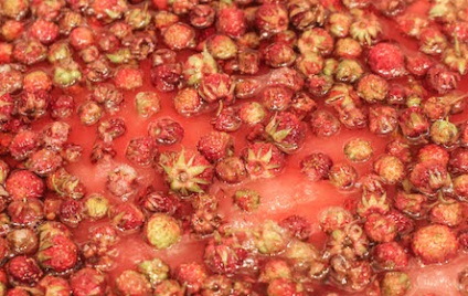 Gem de o căpșună de pădure 5 rețete pentru un gust delicios pentru iarnă