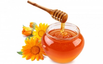 Tipuri de miere, proprietăți și caracteristici