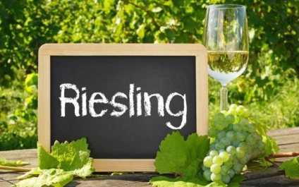 Struguri Riesling Descrierea clasei, subtilitățile cultivării și caracteristicile gustului