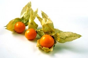 A Physalis termése és változatossága