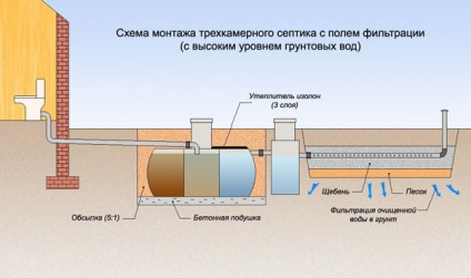 Problema organizării unei țevi dintr-un rezervor septic, din familia Siberiană