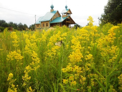 Toate centrele turistice din regiunea Ulyanovsk