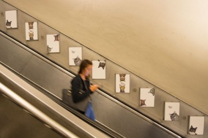 Toate reclamele de la stația de metrou din Londra au fost înlocuite cu fotografii ale pisicilor (9 fotografii)