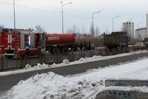 În Tyumen va prinde câinii neglijați, știri despre Tyumen