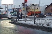 În Tyumen va prinde câinii neglijați, știri despre Tyumen