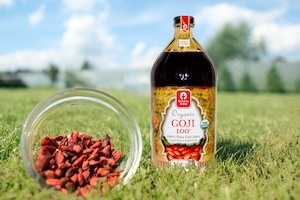 Goji fructe de padure - proprietăți utile cum să luați - lumea știrilor unei femei moderne