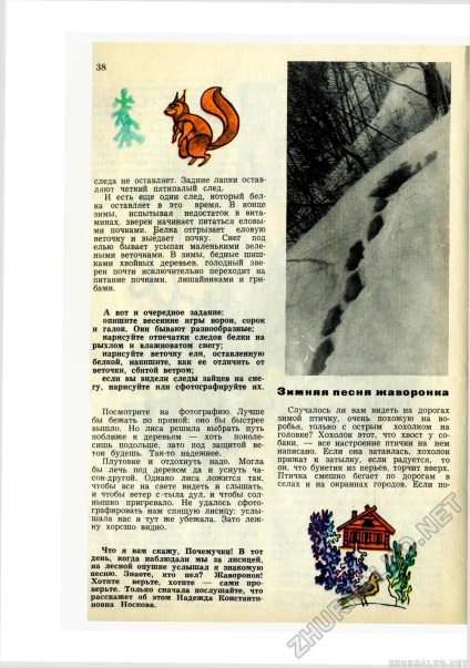 Tânărul naturalist 1977-02, p. 41