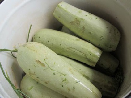 Pickling cukkini